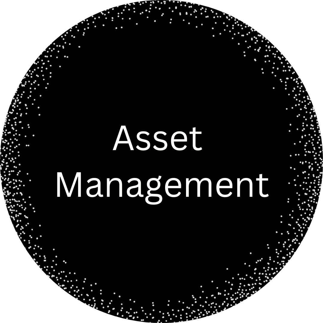 icon - asset management