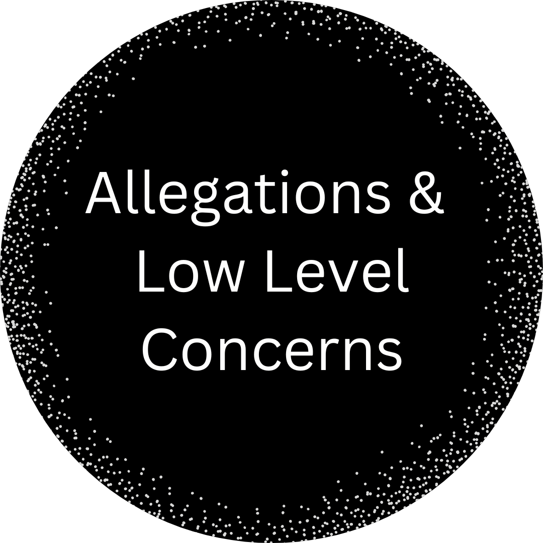 Allegations and low level concerns icon