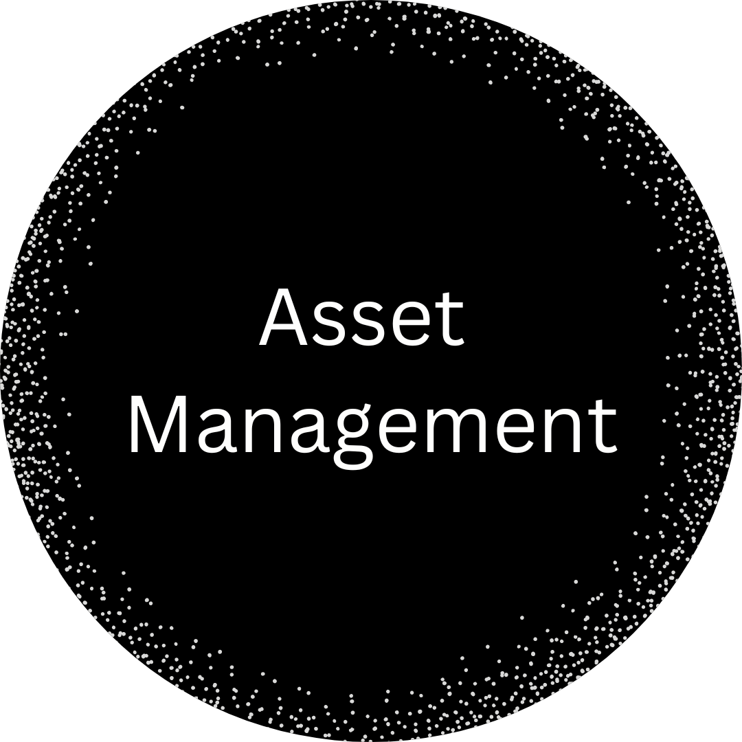 Asset management icon