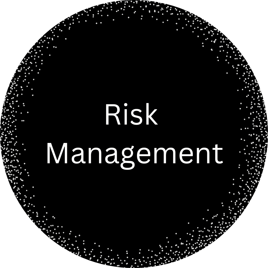 Risk management icon
